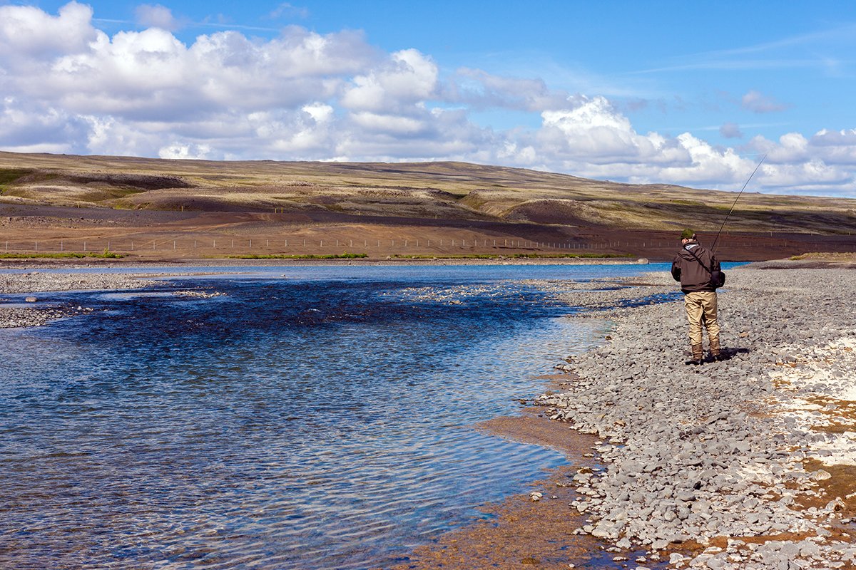 The Mountain River Full of Char