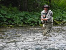 Huge fish, is not it?