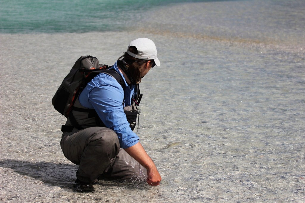 Release... See you next time!