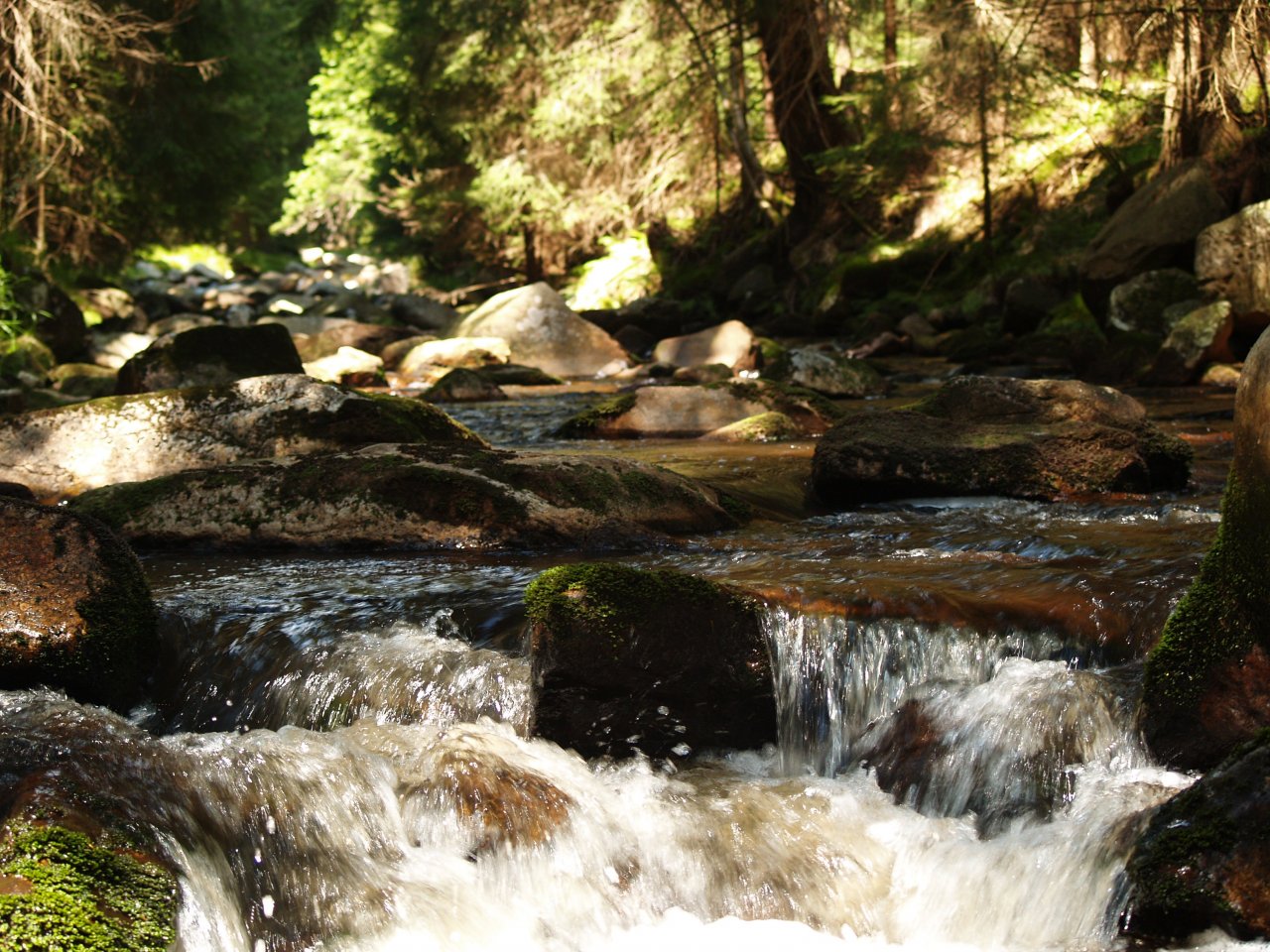 Rolava above Nov� Hamry