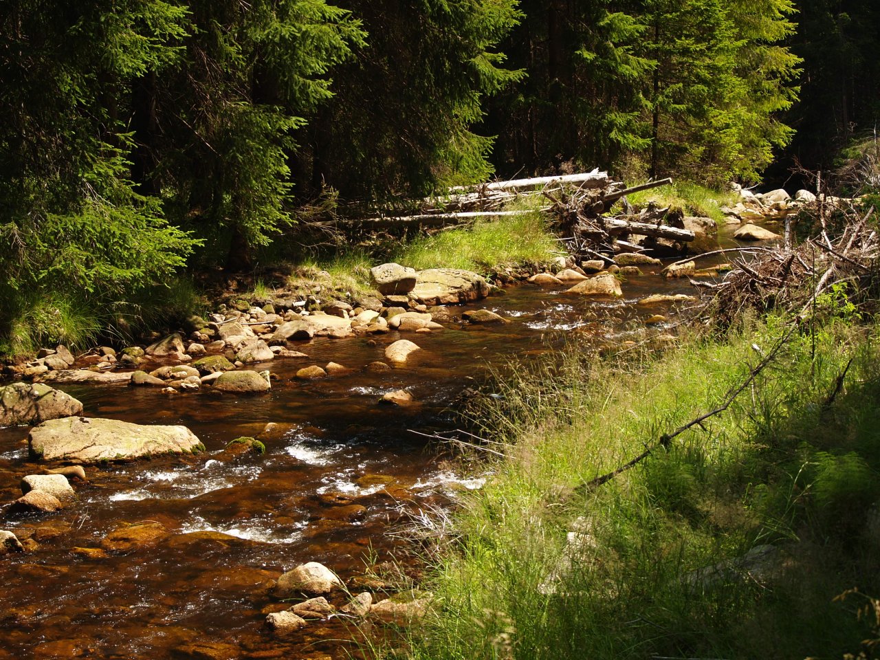 Rolava above Nov� Hamry