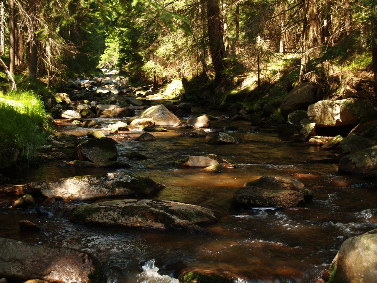 Rolava above Nov� Hamry