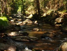 Rolava above Nové Hamry