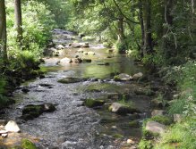 Rolava above Nové Hamry