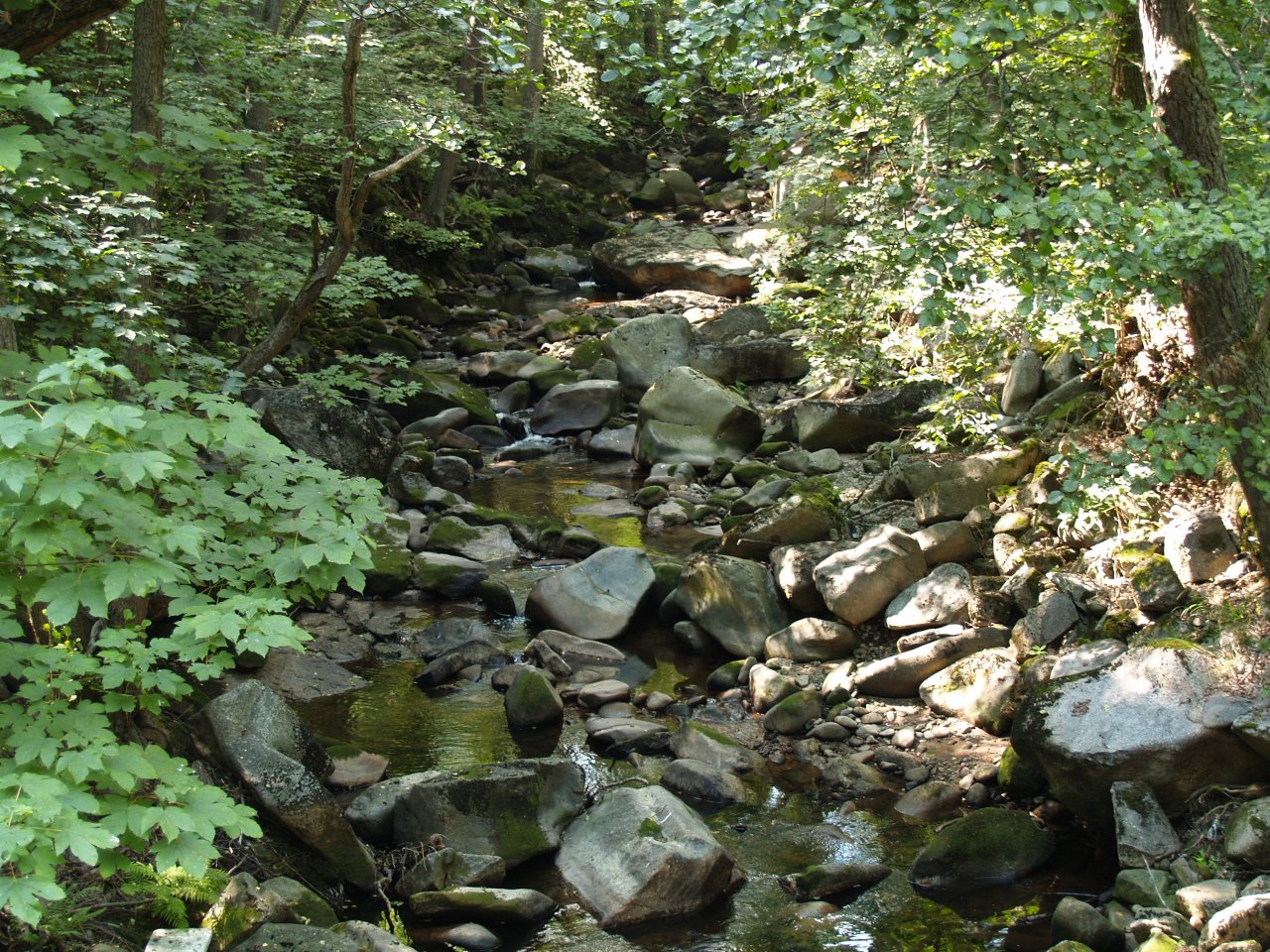 Rolava below Nejdek - missing water