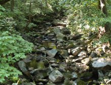 Rolava below Nejdek - missing water