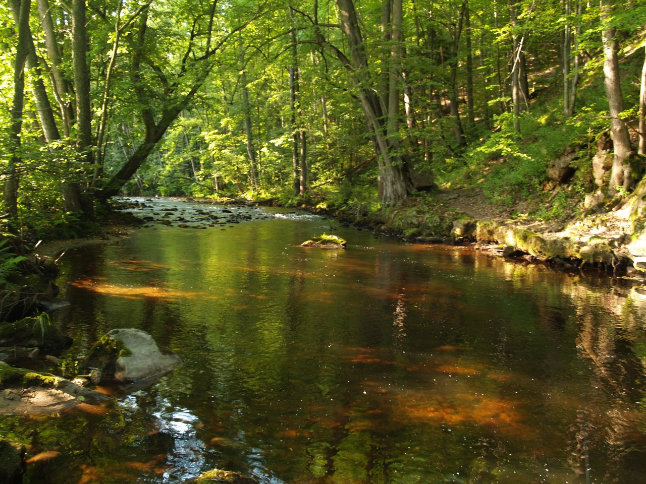 Rolava above Star� Role