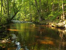 Rolava above Stará Role