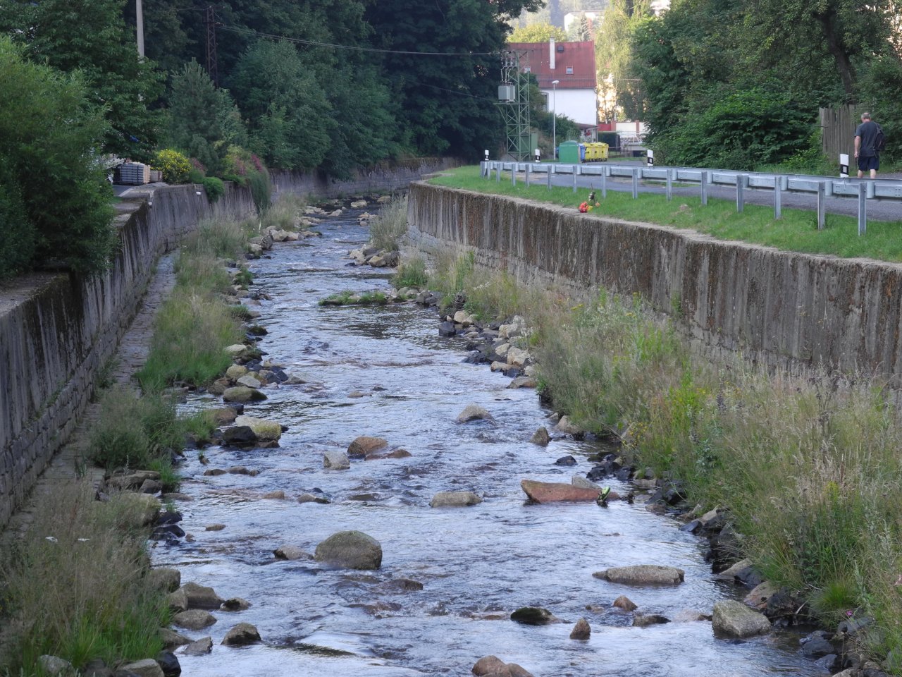 Regulated river but wild trouts