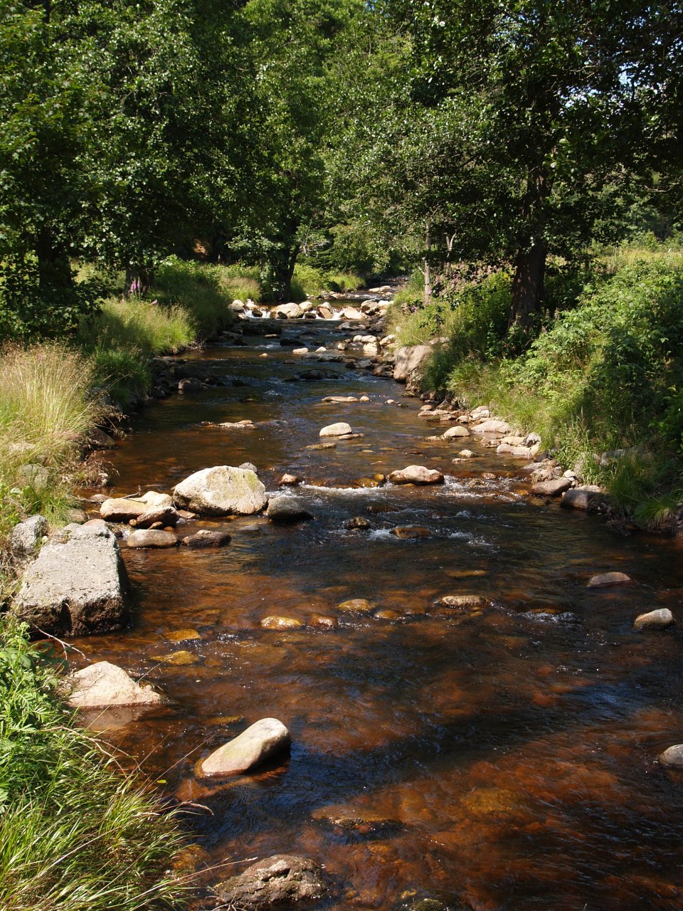 Rolava in Nov� Hamry