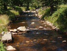 Rolava in Nové Hamry