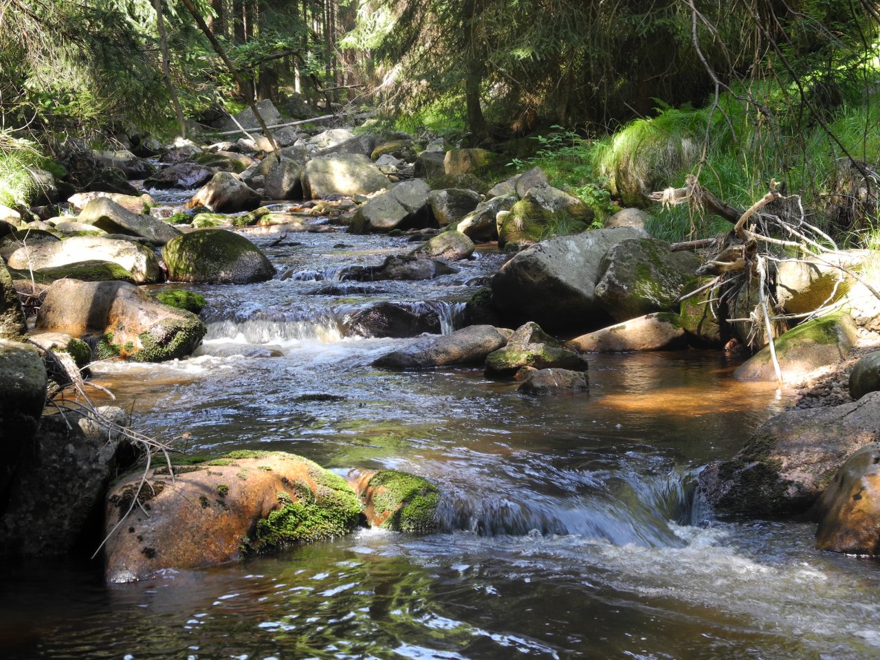 Rolava above Nov� Hamry