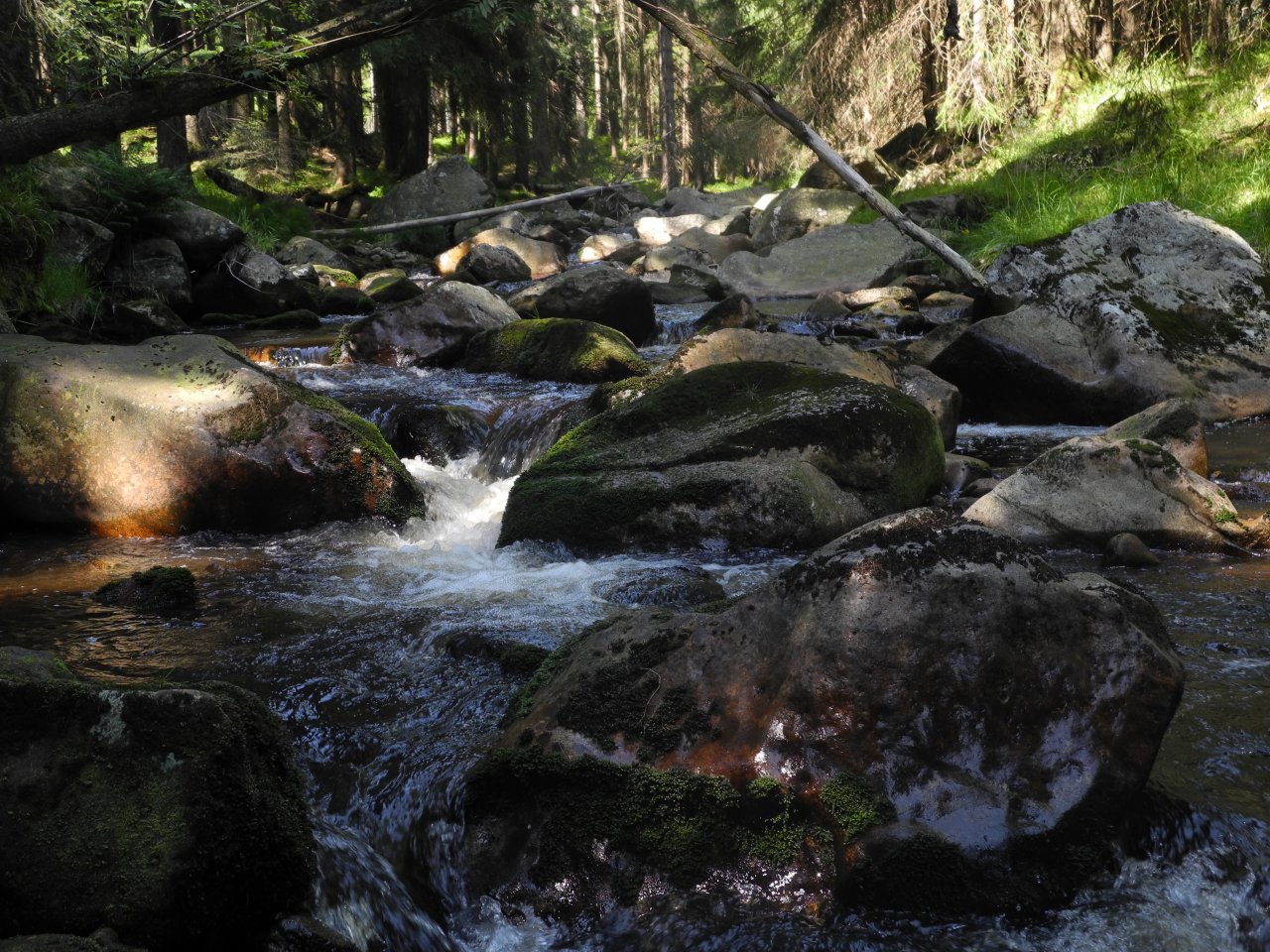 Rolava above Nov� Hamry