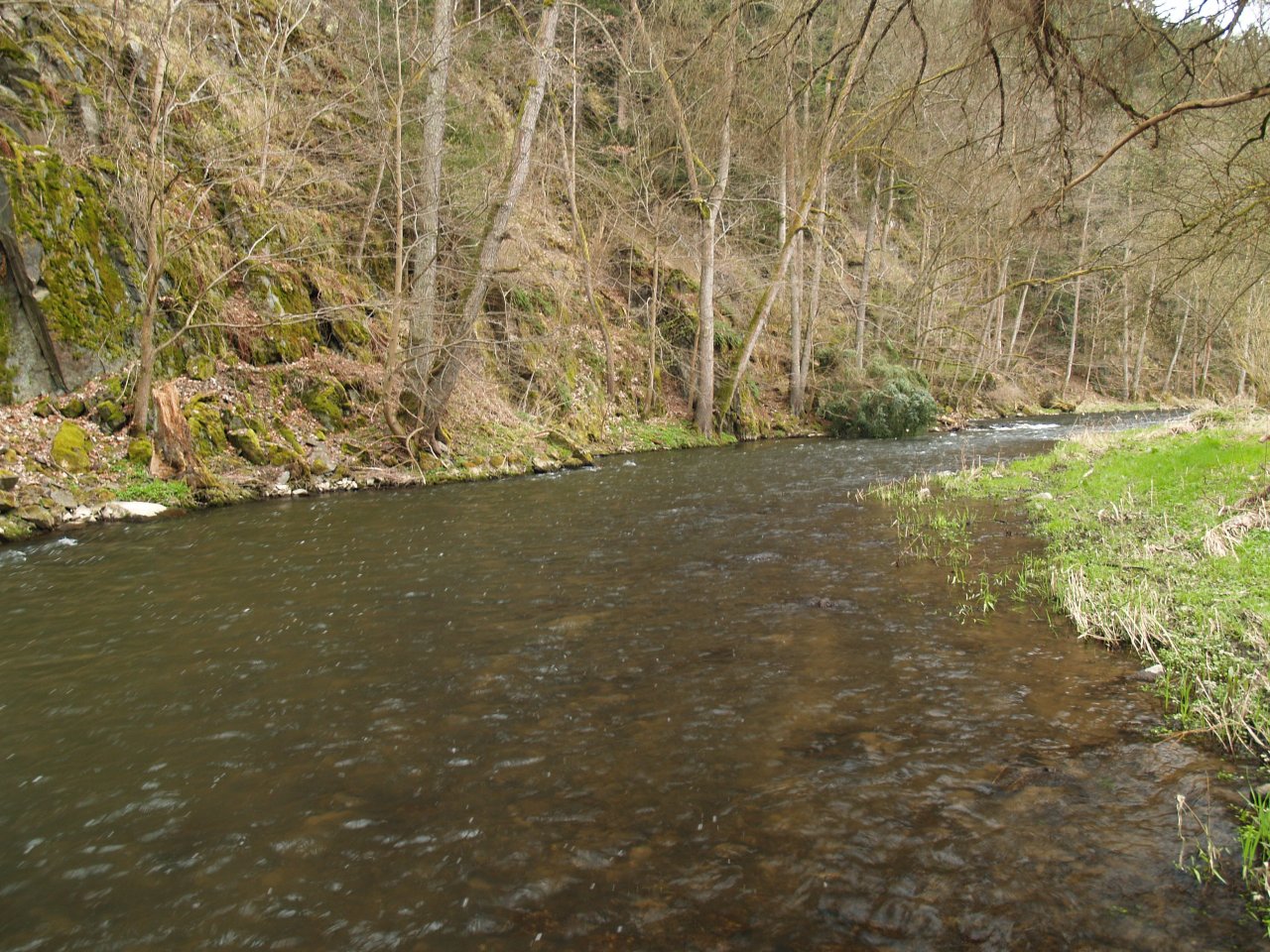 St�ela near Pipl�v ml�n