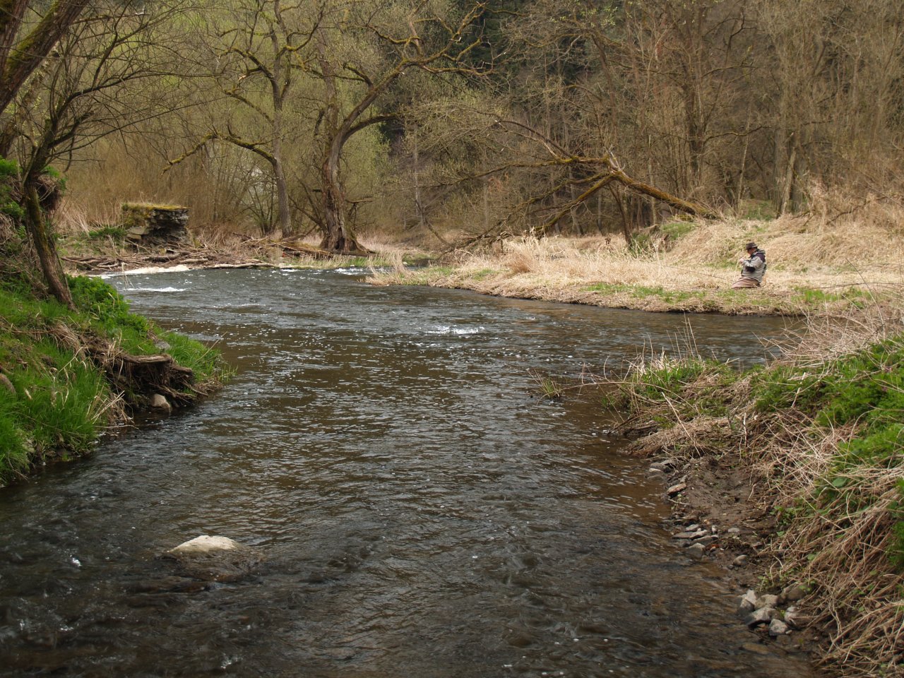 Kralovick� stream entering St�ela