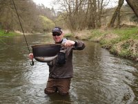 Stela in spring 2015