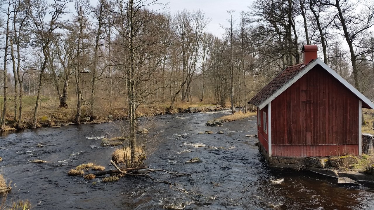 Fast water near the cottage
