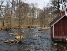 Fast water near the cottage