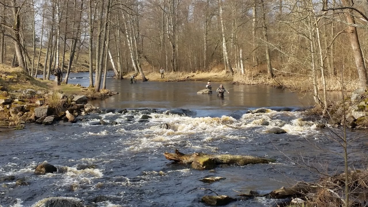 Good spot that always produce some fish