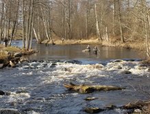 Good spot that always produce some fish