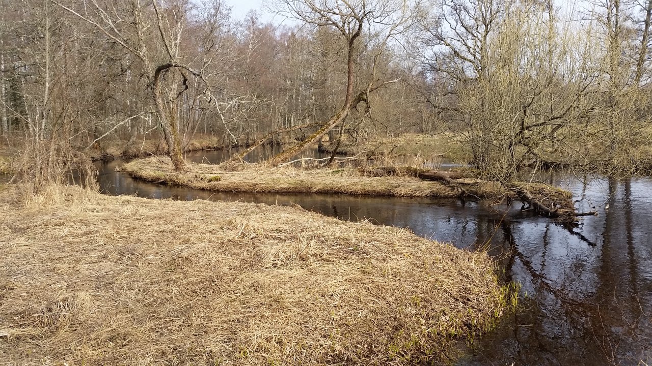 Slow water in sector 3