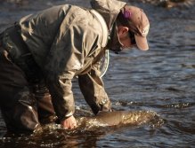 Releasing the rainbow