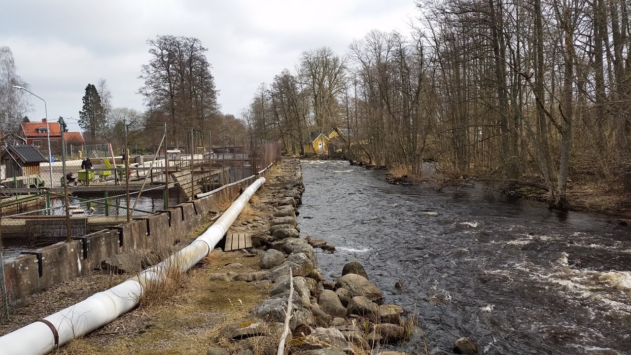 The source of fresh fish