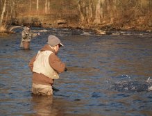 Fighting the rainbow