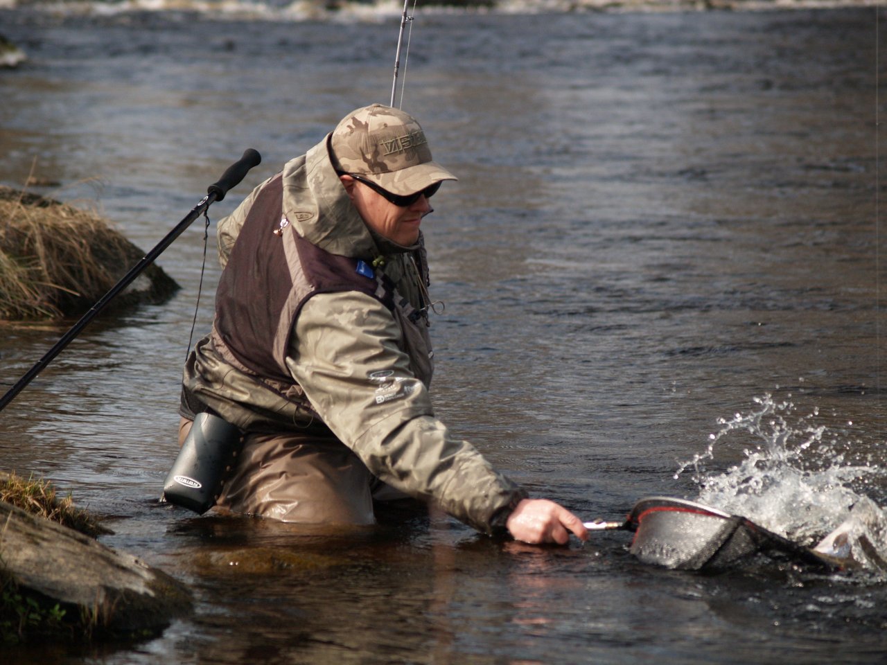 Getting the fish to the net