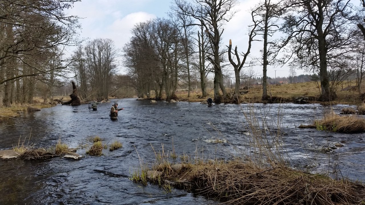 Fishing under the bridge