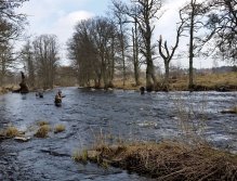 Fishing under the bridge