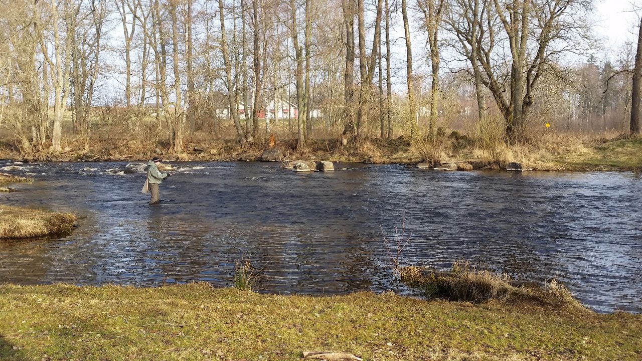 Practicing streamer fishing