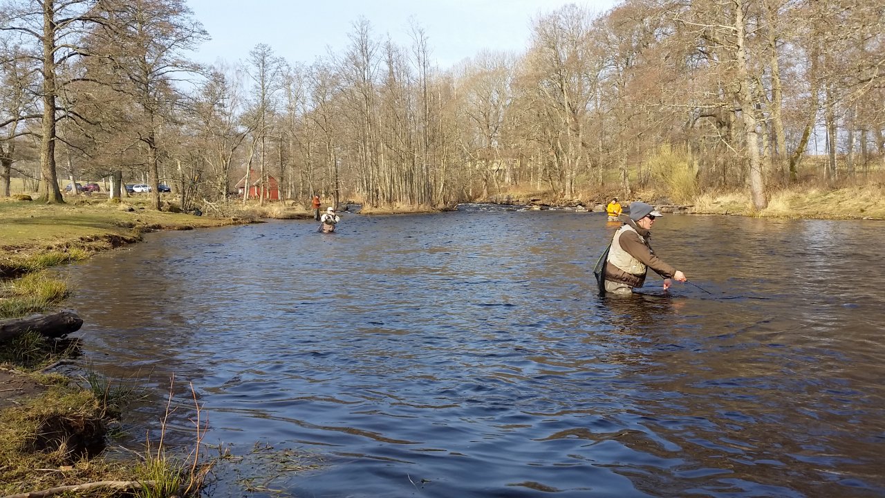 Fishing pressure in Tidan is high