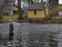 Spring fishing on river Tidan, Sweden