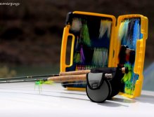 Ready for searching of Blackbass