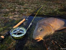 Heavy gear for heavy carp