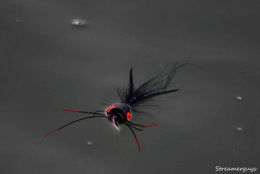 Break before the next splash