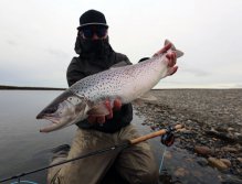 Another heavy torpedo