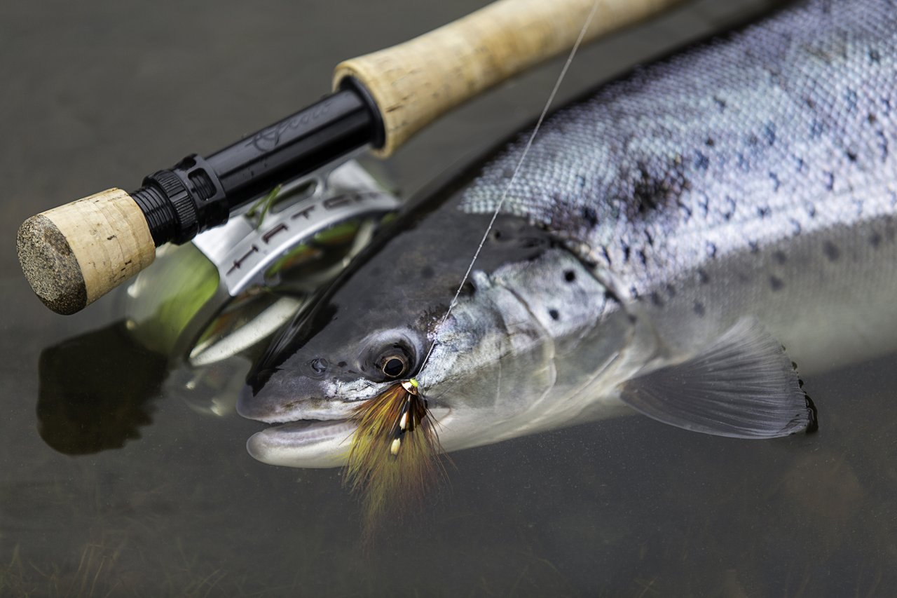 Sea trout and small Tube Fly