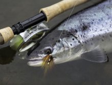 Sea trout and small Tube Fly