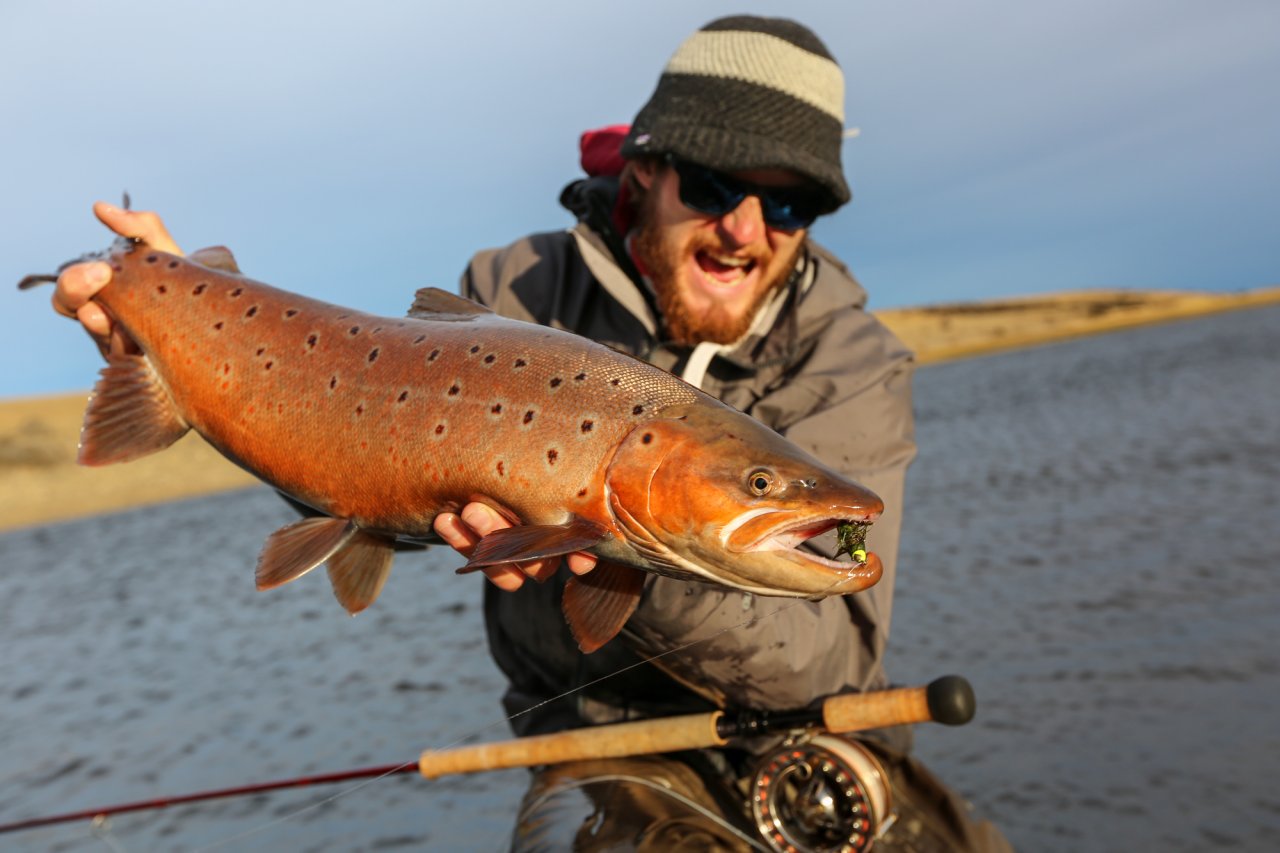 Lovely colored trout
