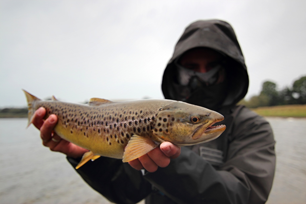 Darth Vader in action