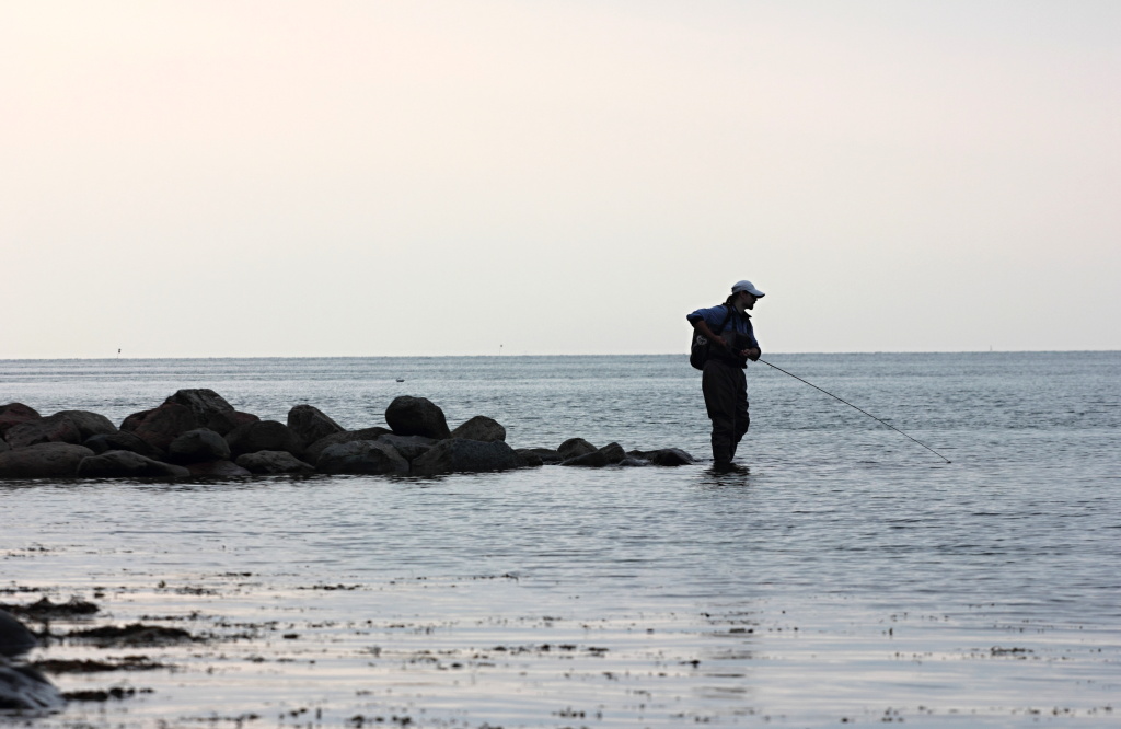 Evening streamer fishing