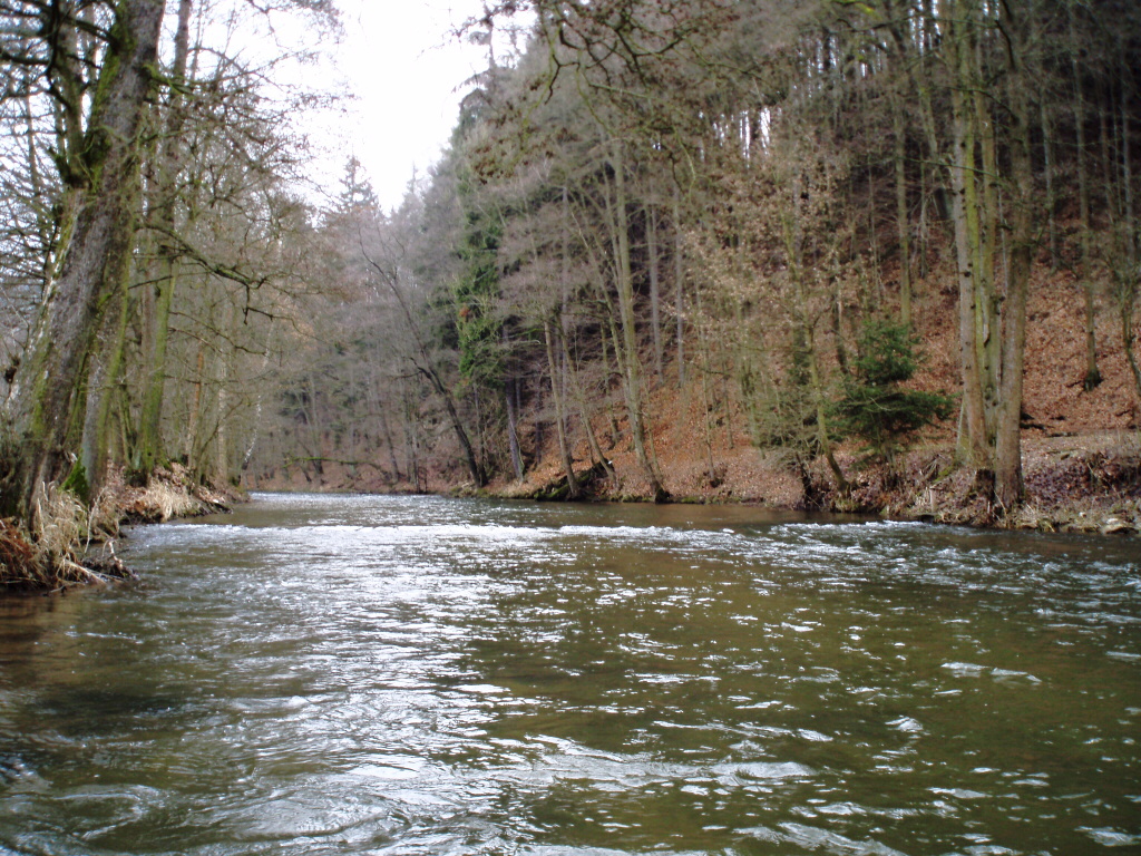 Nice part of the river hides many surprises