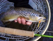 Look at those spots!