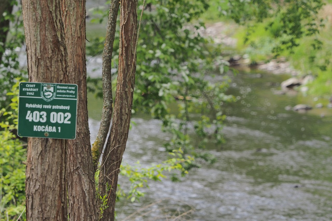 Koc�ba - a small trout stream near Prague