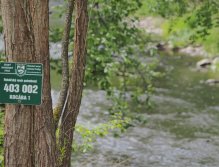 Kocába - a small trout stream near Prague