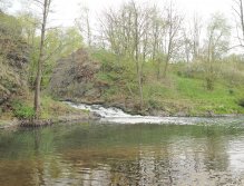 Kocába in Malá Lečice