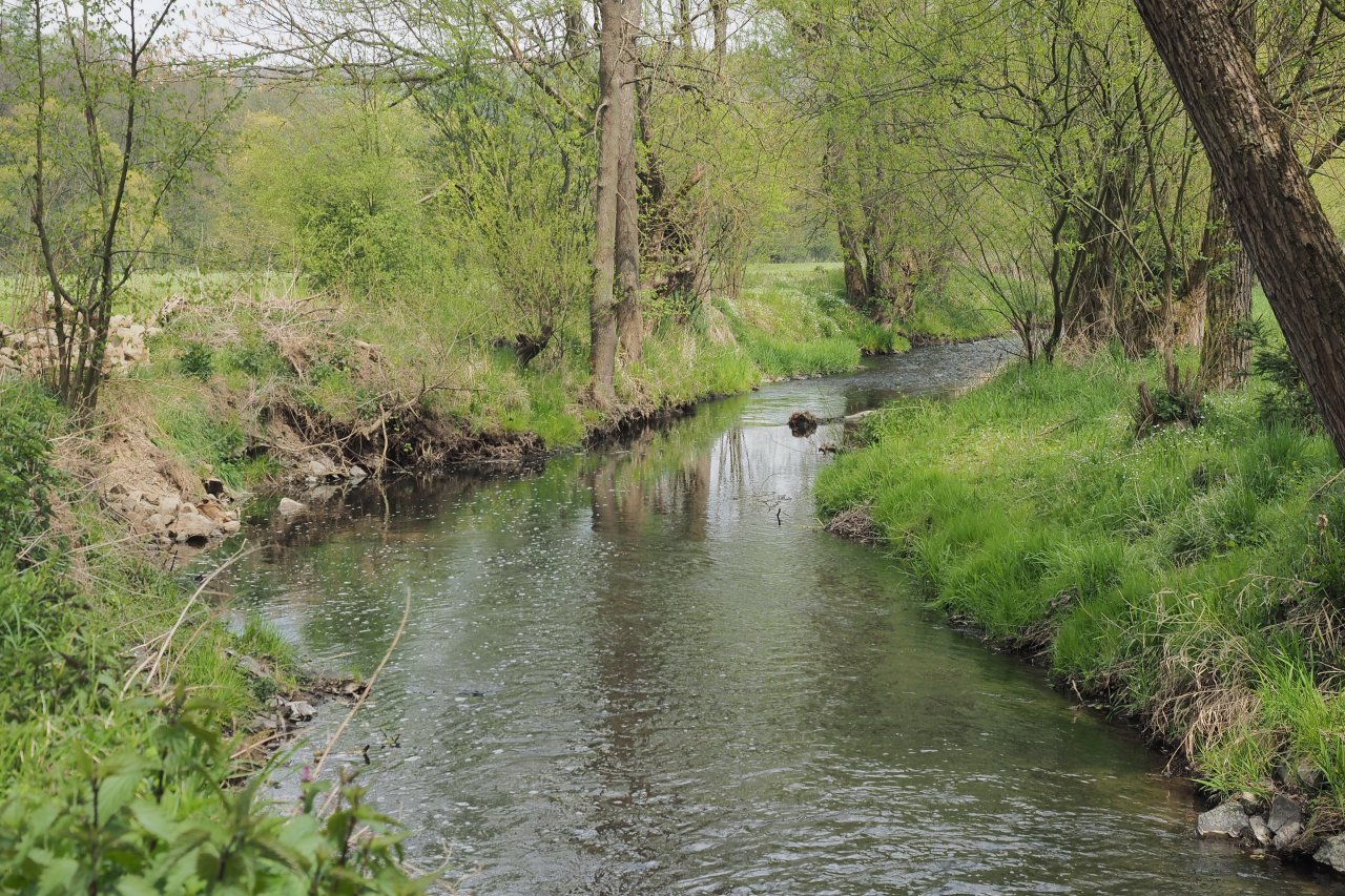 Koc�ba near Brat��nov