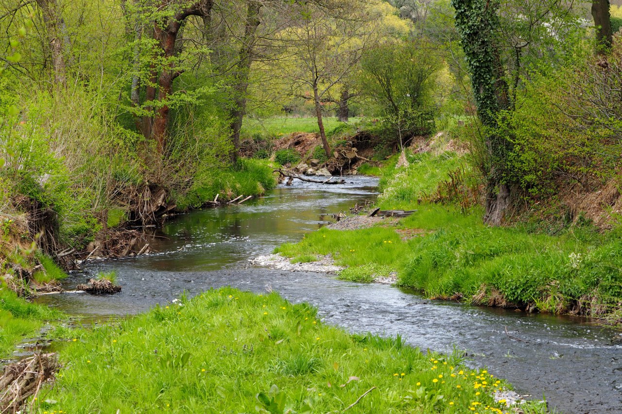 Koc�ba near Brat��nov